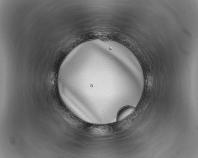 X0000110870567200907021439