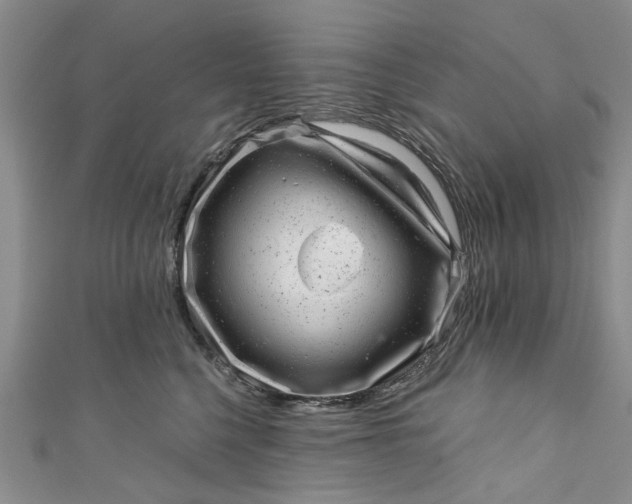 X0000110870568200907021439