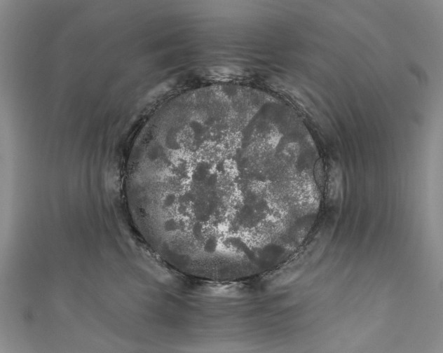 X0000110870569200907021439