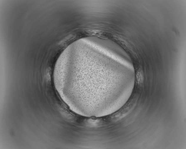 X0000110870570200907021439