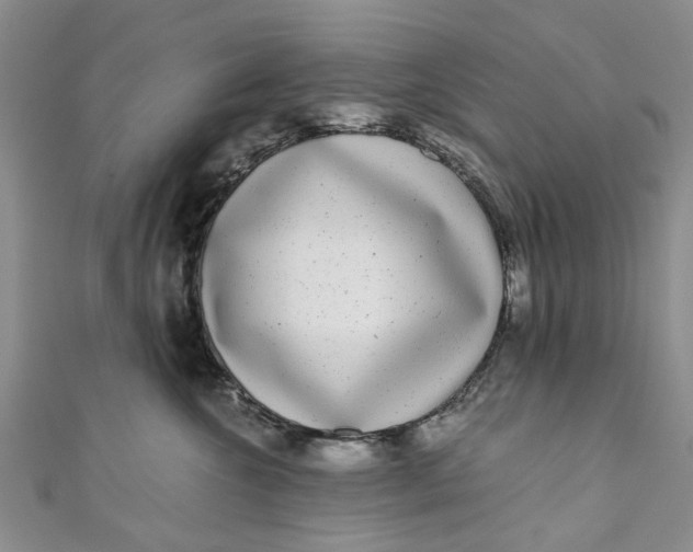 X0000110870572200907021439