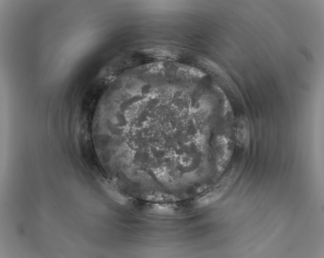 X0000110870573200907021439