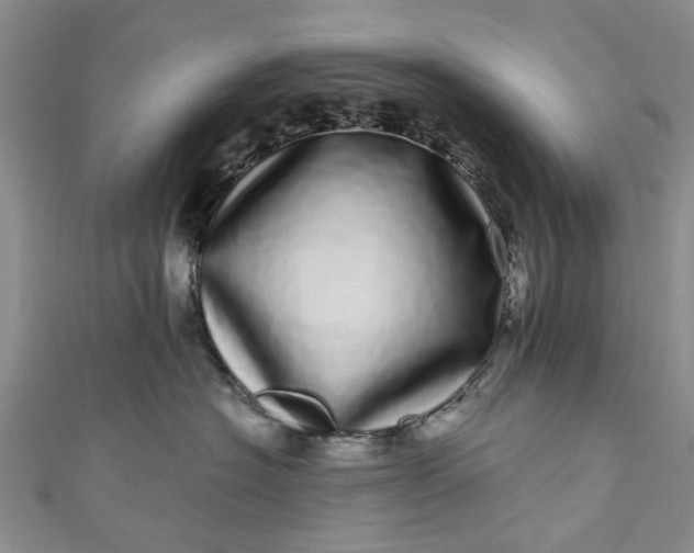 X0000110870574200907021439