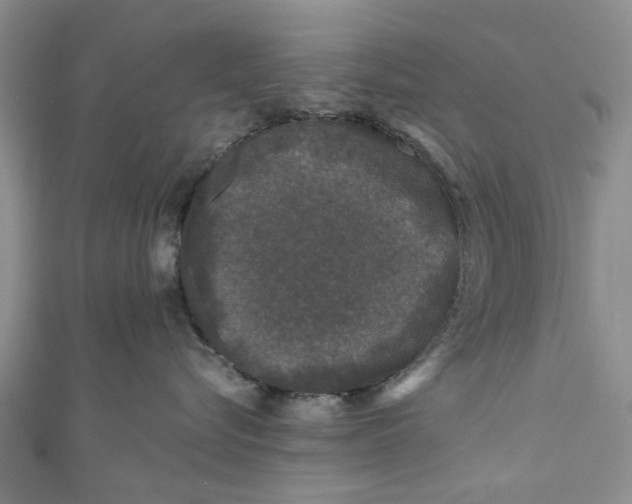 X0000110870576200907021439