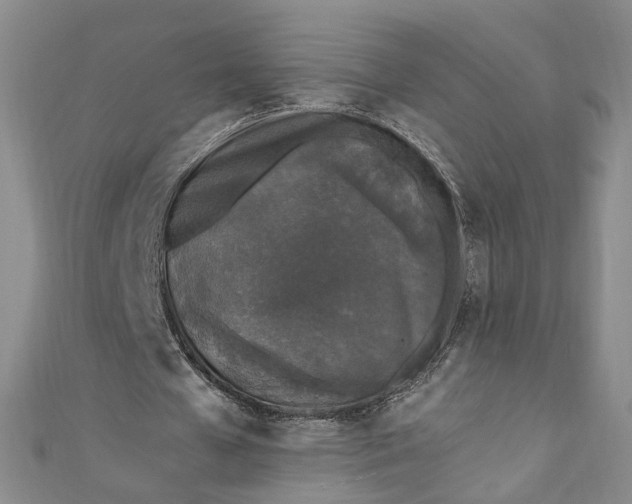 X0000110870577200907021438