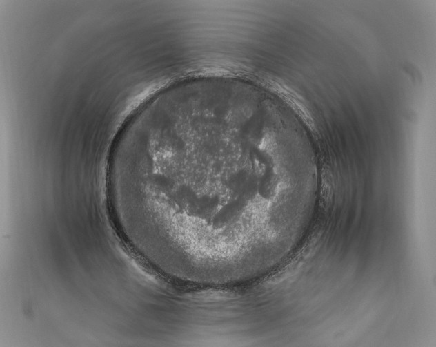 X0000110870578200907021438