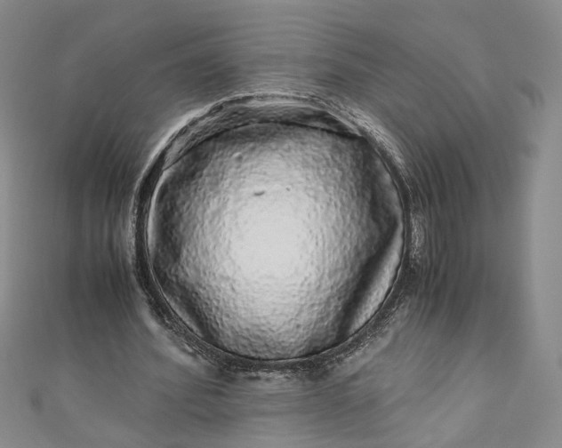 X0000110870580200907021438