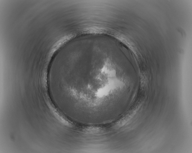 X0000110870581200907021438