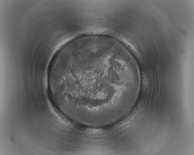 X0000110870582200907021438