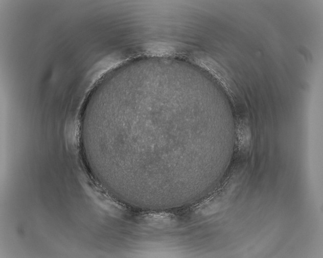 X0000110870583200907021438