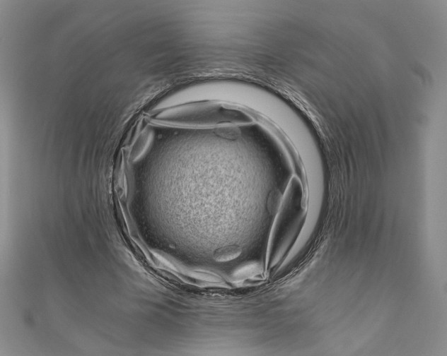 X0000110870585200907021438