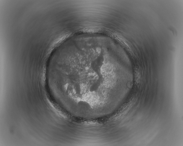 X0000110870586200907021438