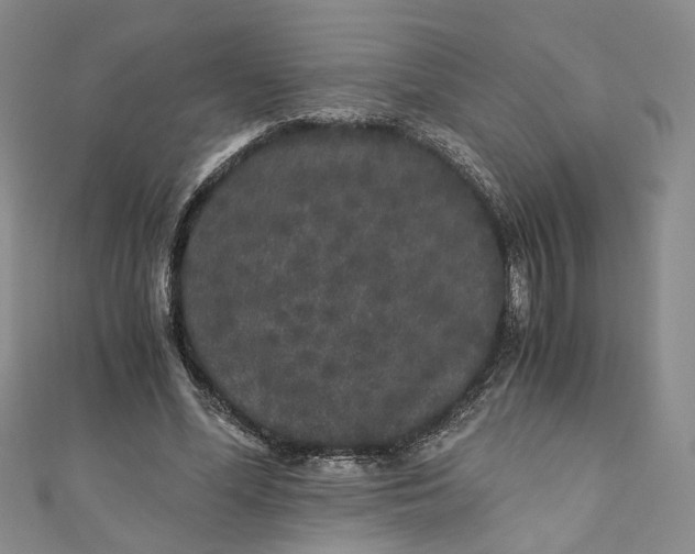 X0000110870588200907021438