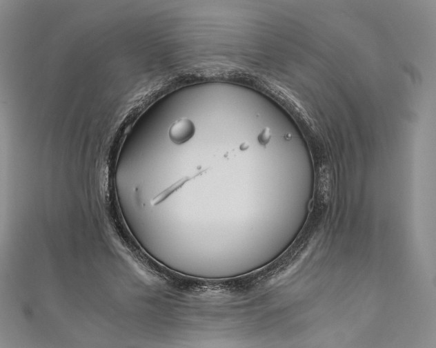 X0000110870589200907021438