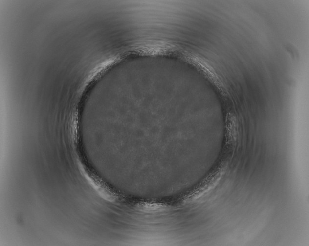 X0000110870590200907021438