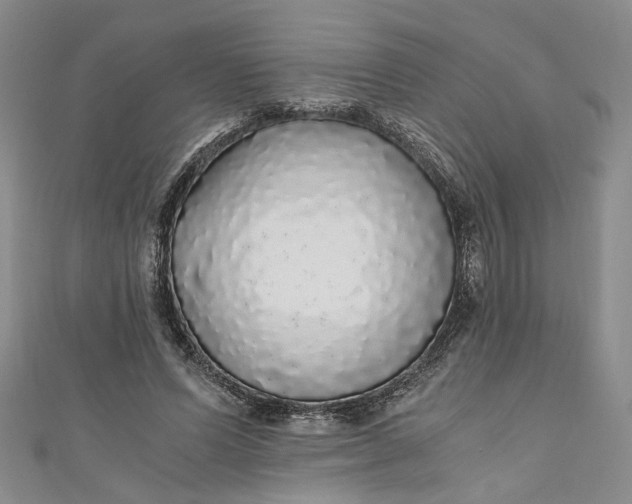 X0000110870591200907021438