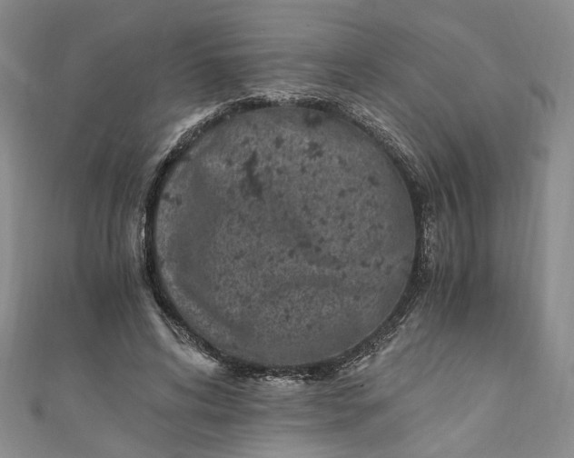 X0000110870592200907021438