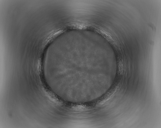 X0000110870594200907021438