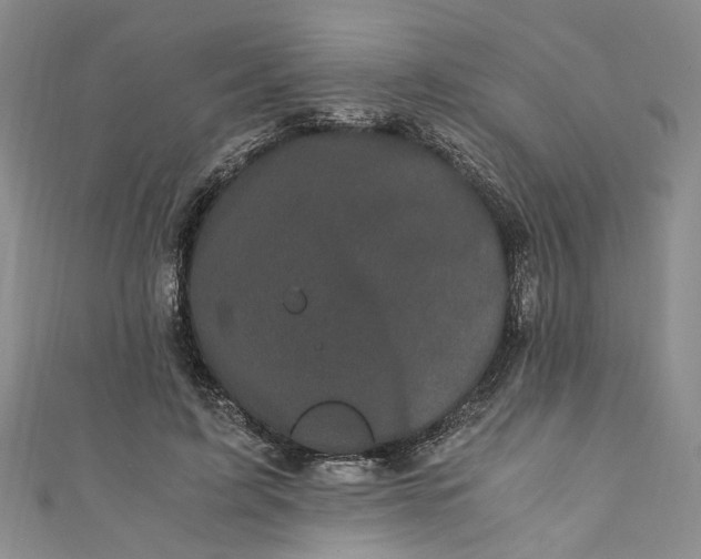 X0000110870595200907021438