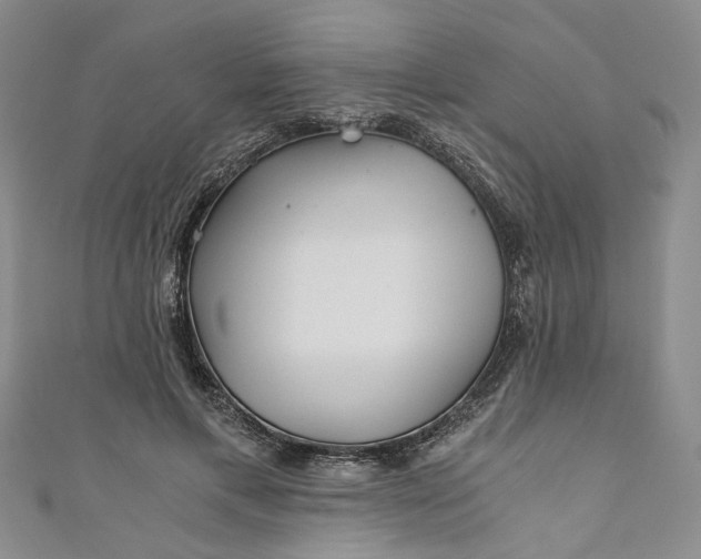 X0000110870597200907021438