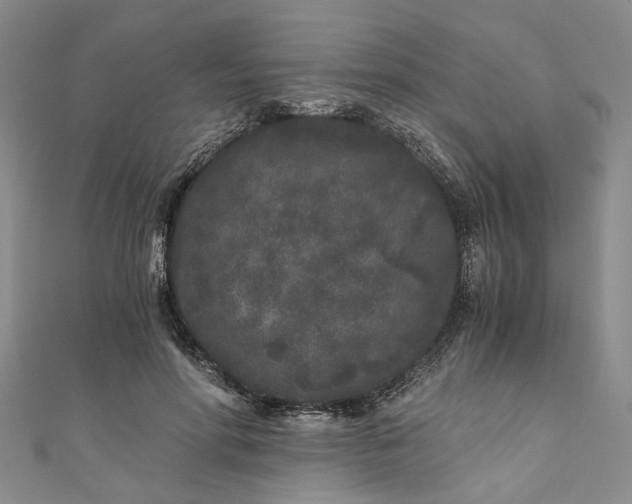 X0000110870598200907021438