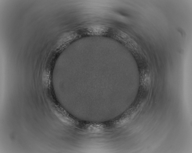 X0000110870599200907021438