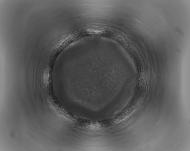 X0000110870600200907021438