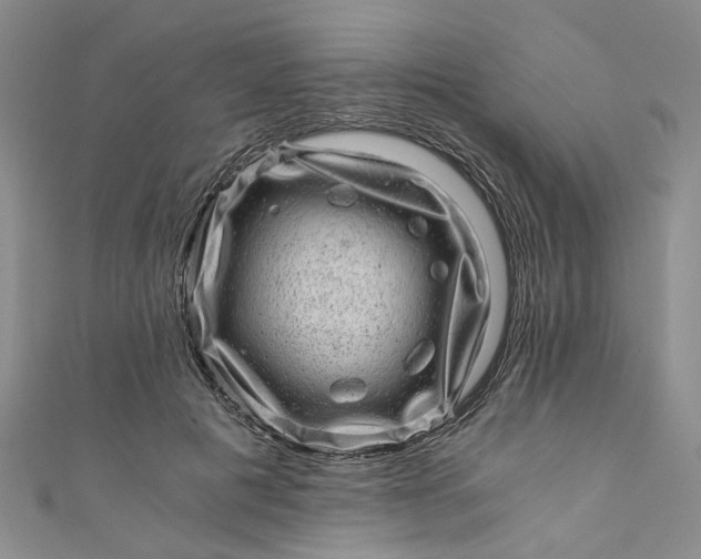 X0000110870601200907021438