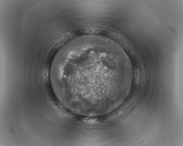 X0000110870602200907021438