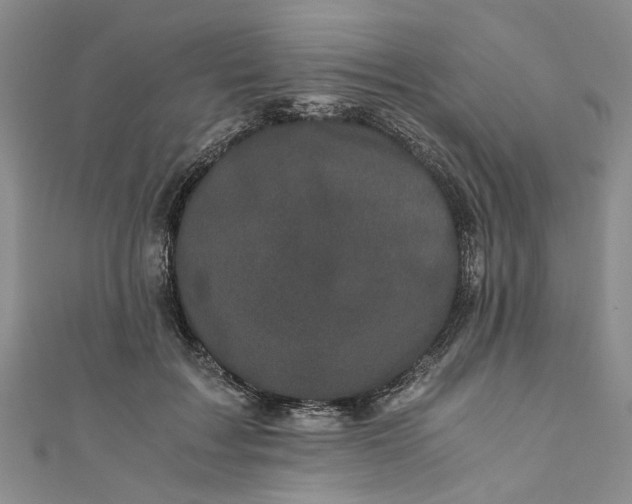 X0000110870603200907021438