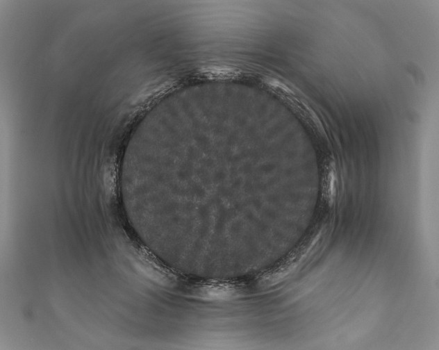 X0000110870604200907021438