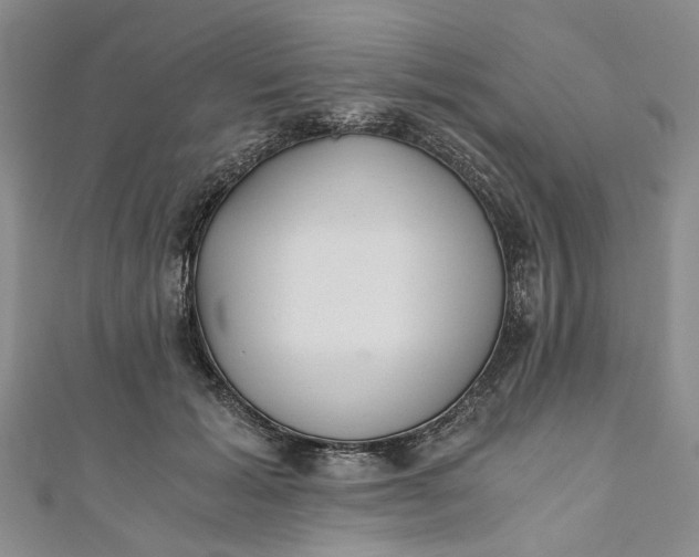 X0000110870605200907021438