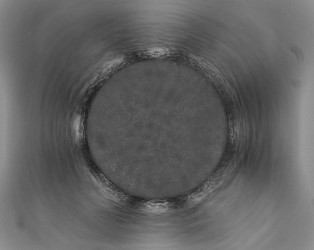 X0000110870606200907021438