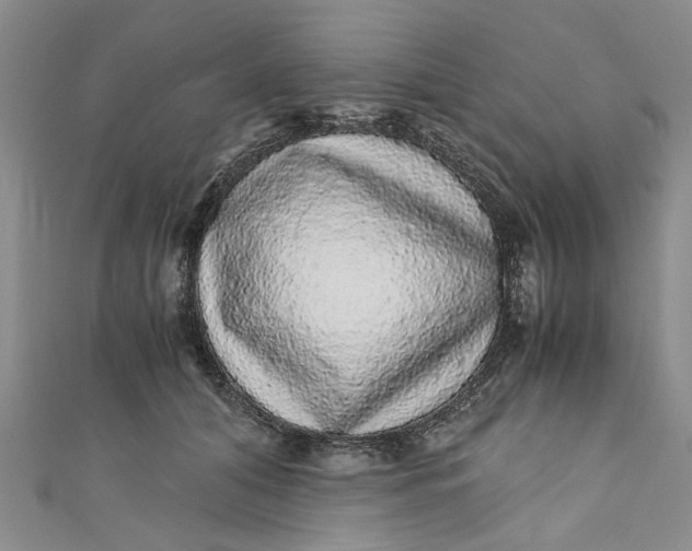 X0000110870608200907021438