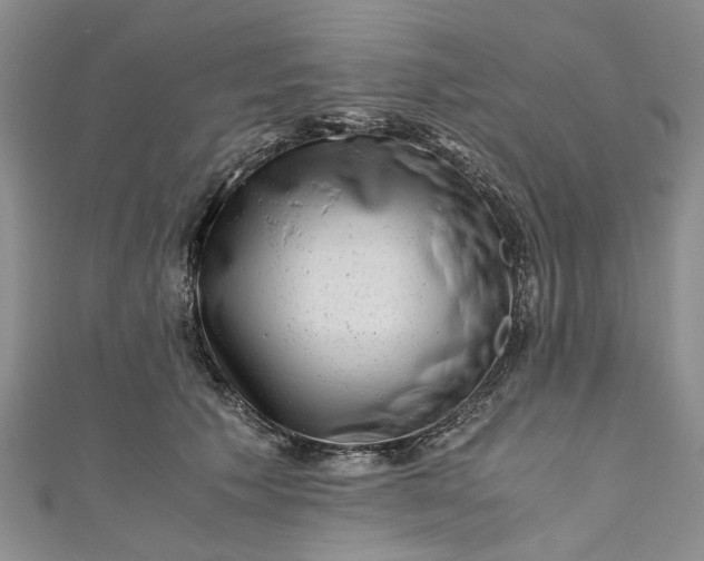 X0000110870609200907021438