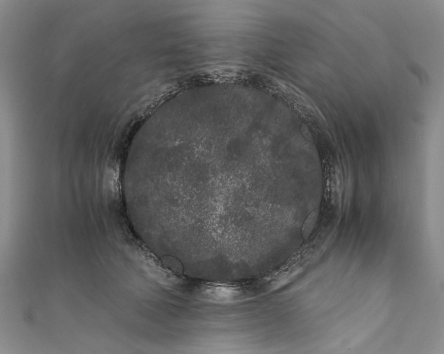 X0000110870610200907021438