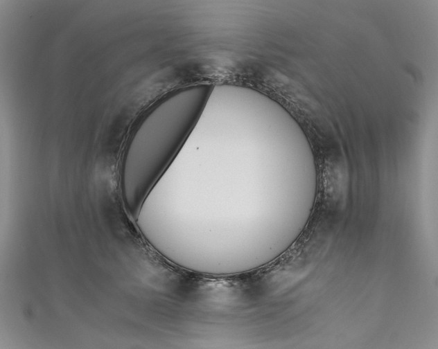 X0000110870611200907021438