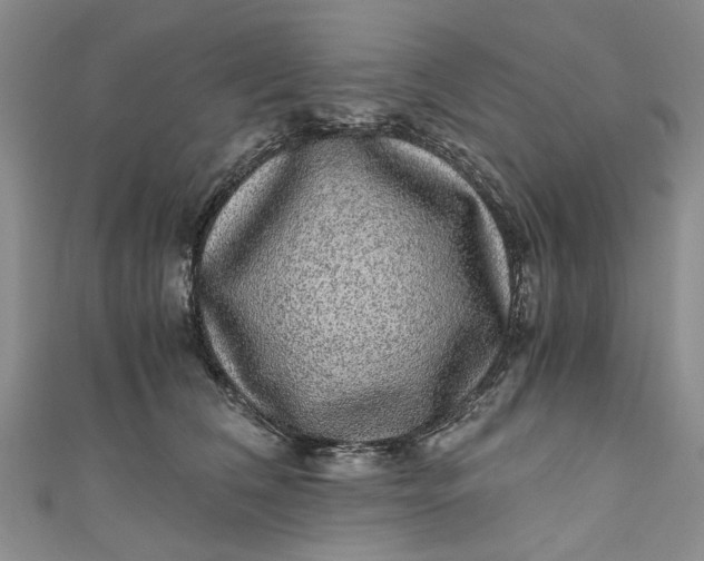 X0000110870612200907021438