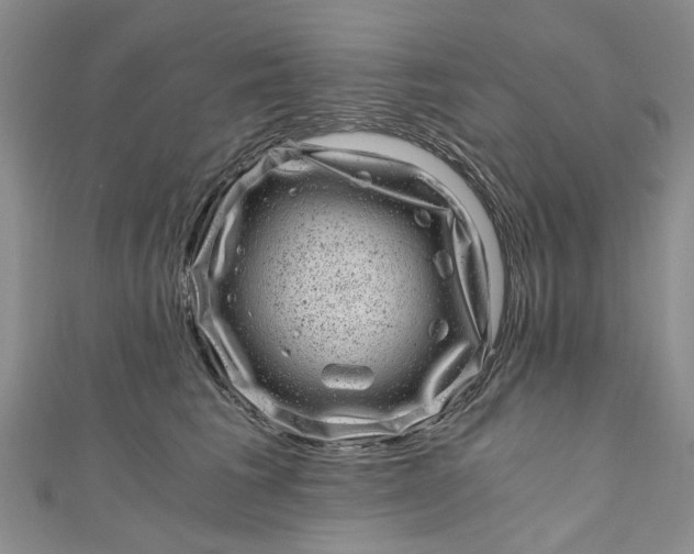 X0000110870613200907021438