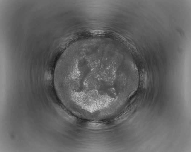 X0000110870614200907021438