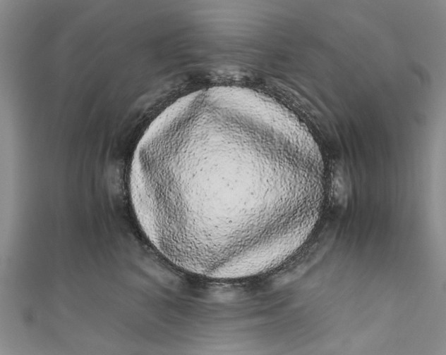 X0000110870616200907021438