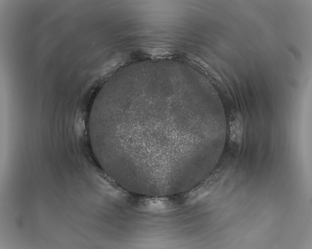 X0000110870618200907021438