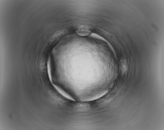 X0000110870619200907021438