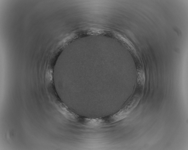 X0000110870621200907021438