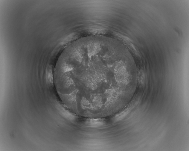 X0000110870622200907021438