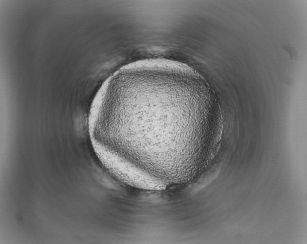 X0000110870624200907021438