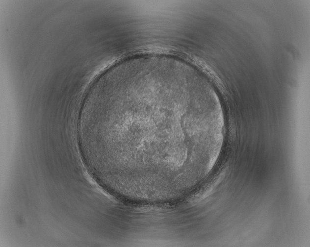 X0000110870625200907021437