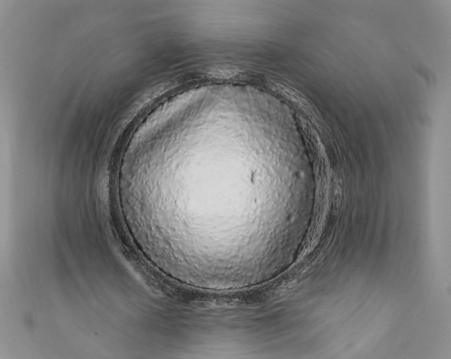 X0000110870626200907021437