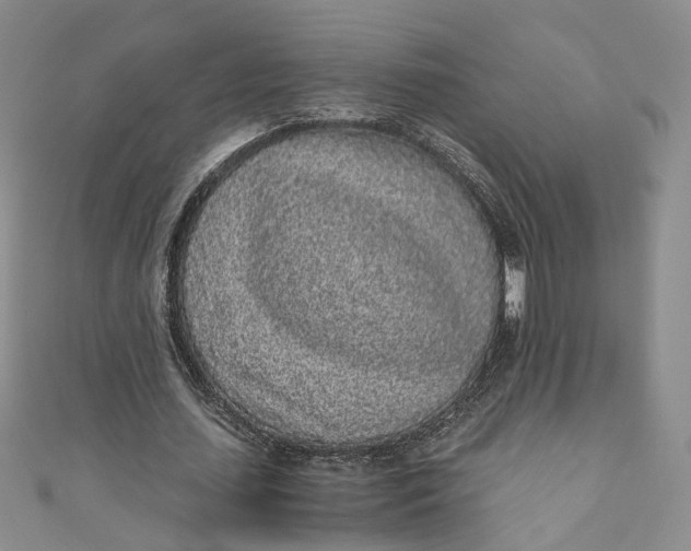 X0000110870627200907021437