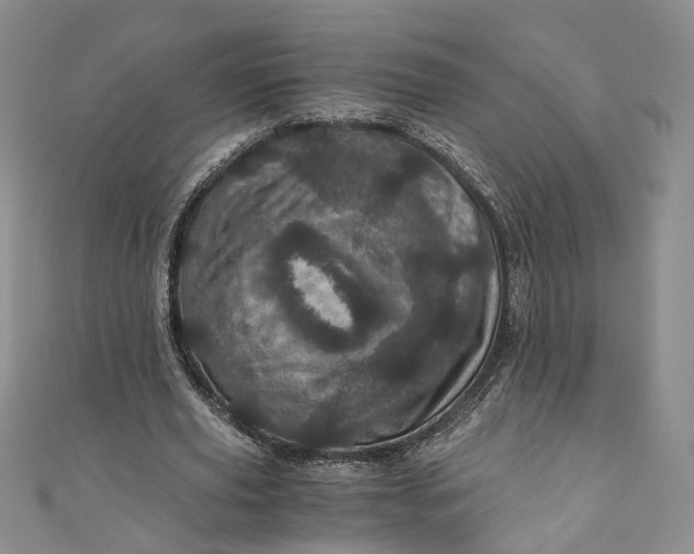 X0000110870629200907021437